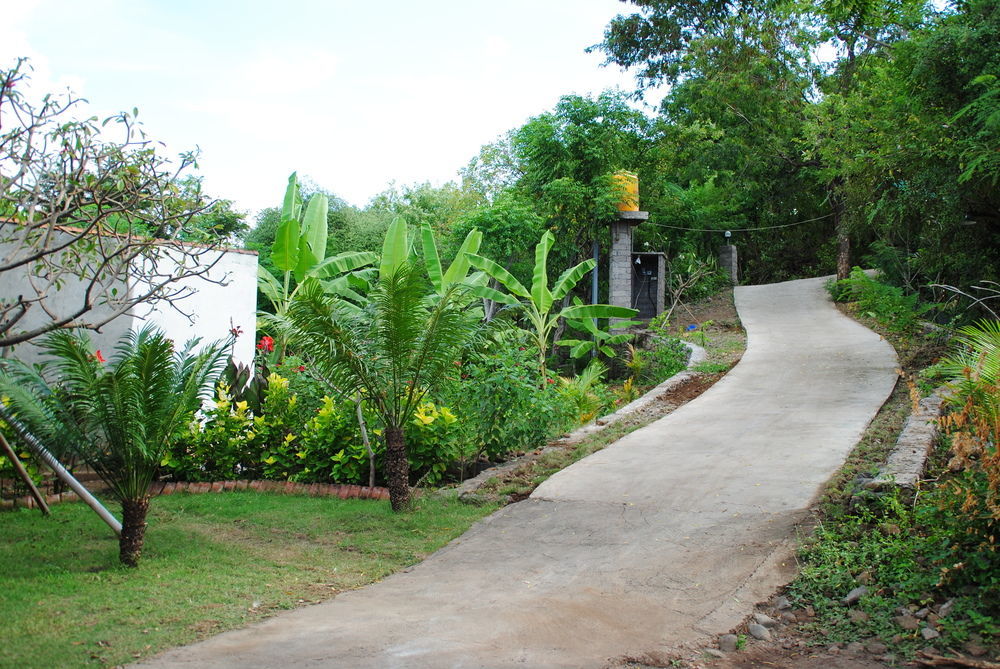 Tiara Homestay Pemuteran  Exterior photo